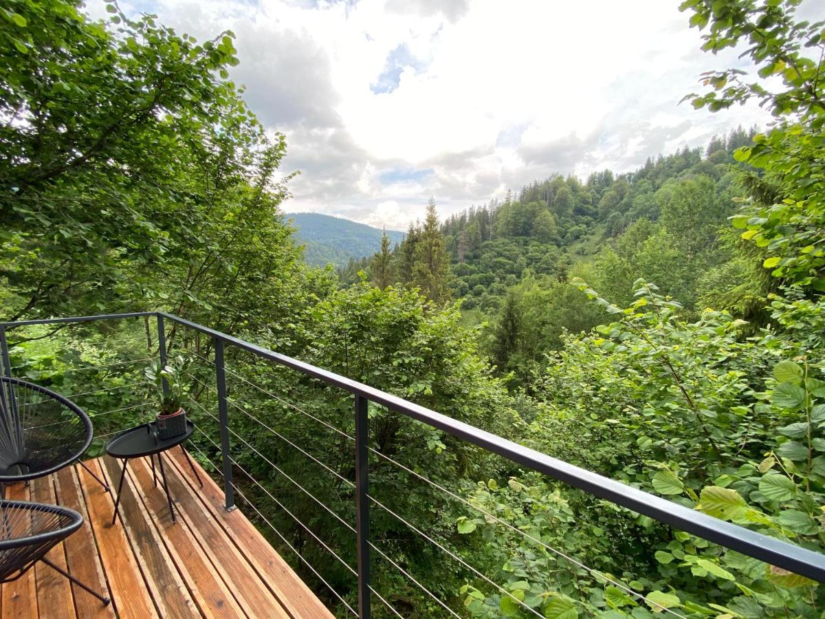 Villa Alpiyka Slavske Esterno foto