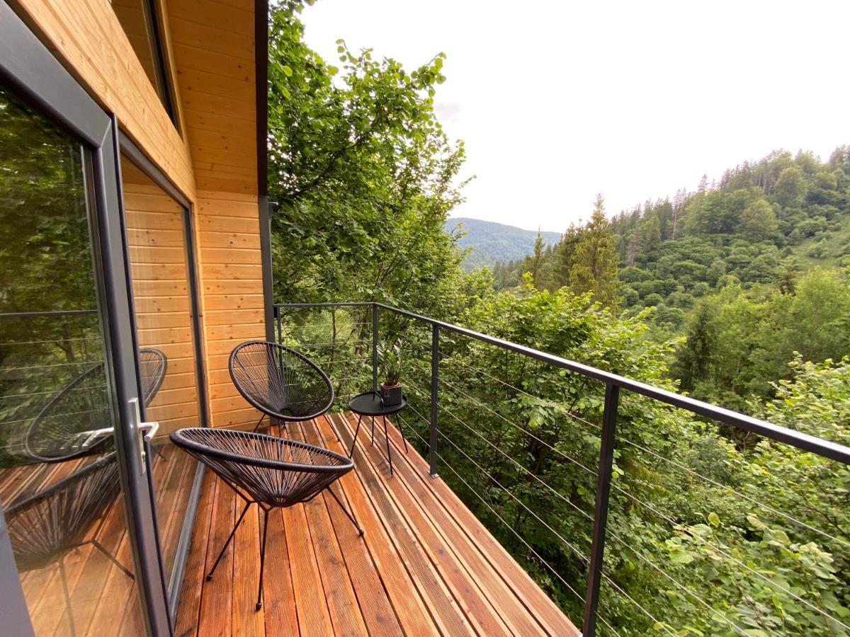 Villa Alpiyka Slavske Esterno foto