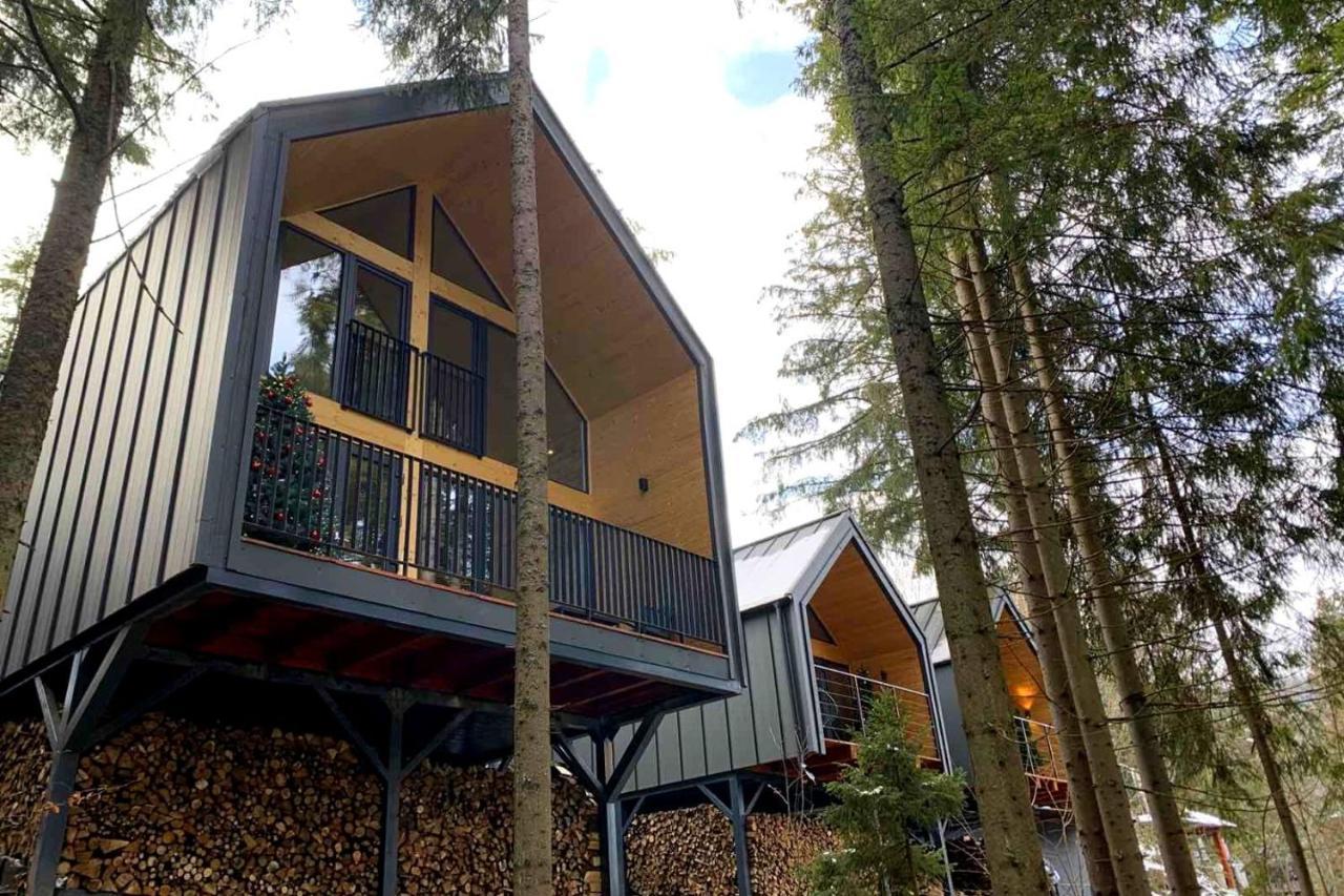 Villa Alpiyka Slavske Esterno foto