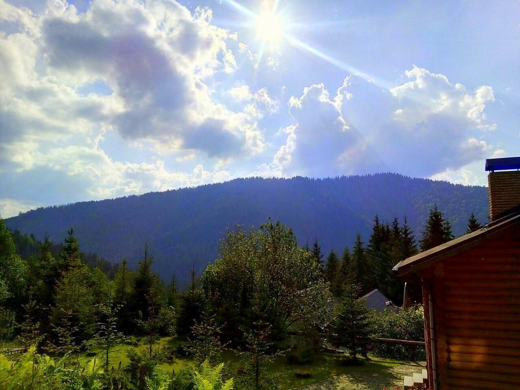 Villa Alpiyka Slavske Esterno foto