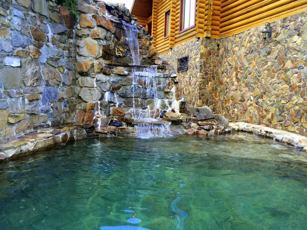 Villa Alpiyka Slavske Esterno foto