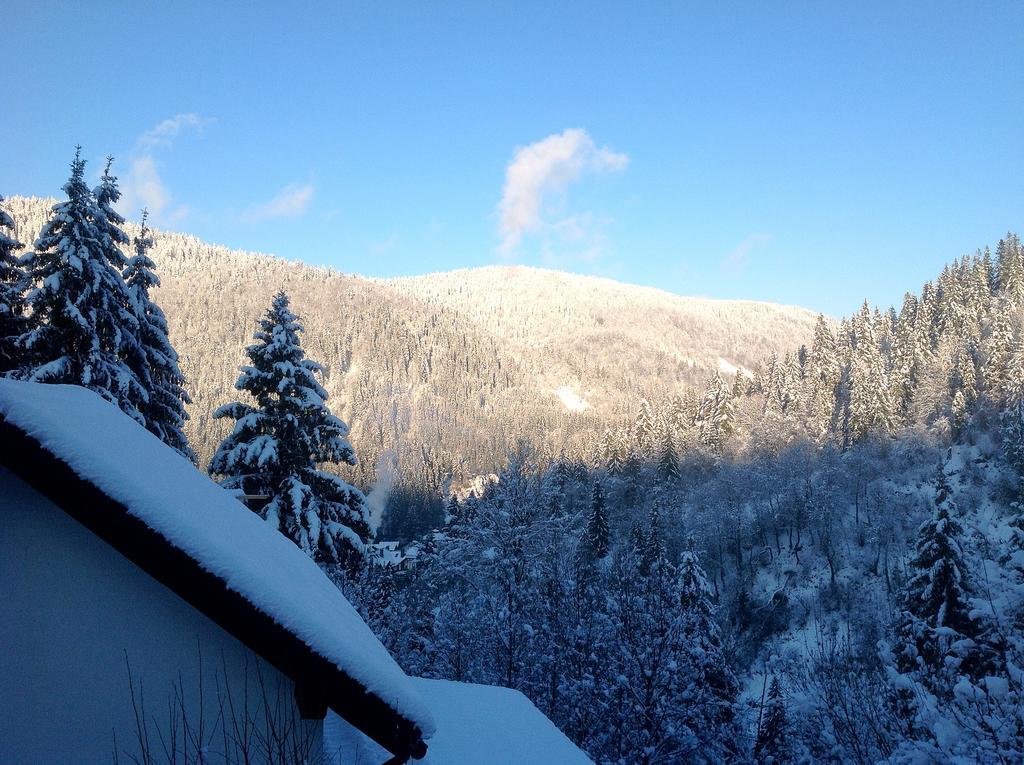 Villa Alpiyka Slavske Esterno foto