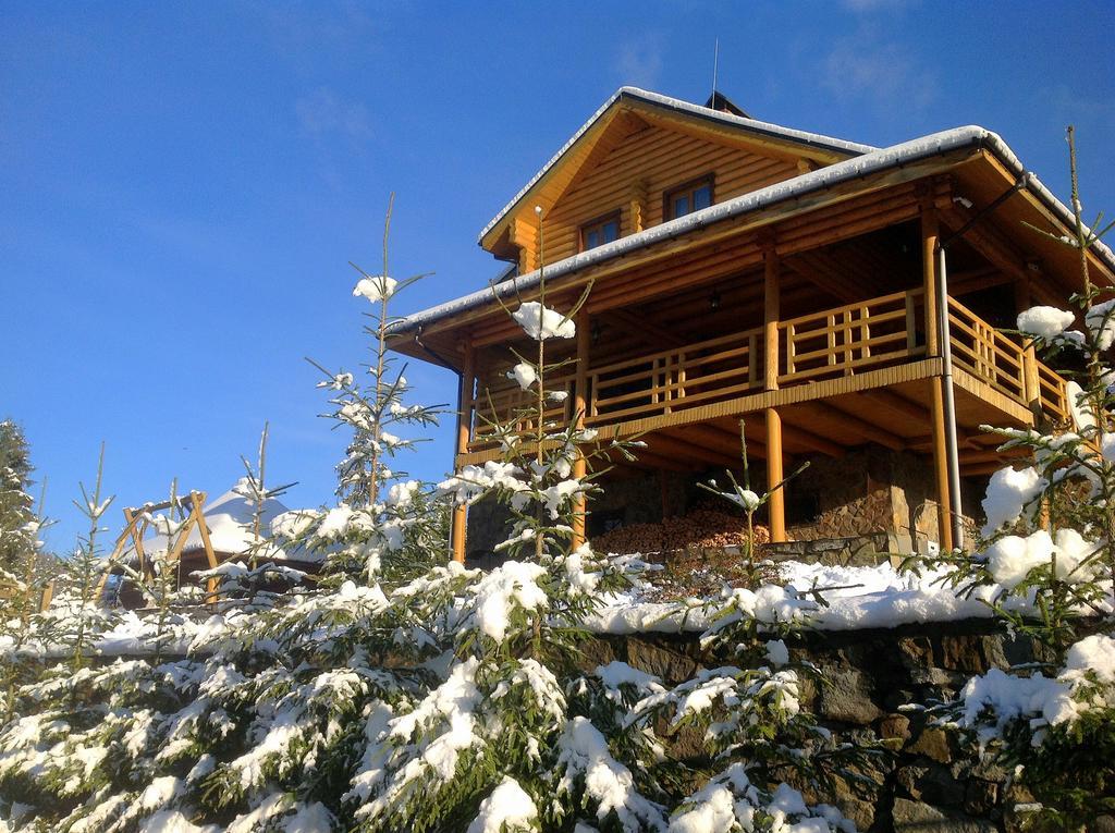Villa Alpiyka Slavske Esterno foto