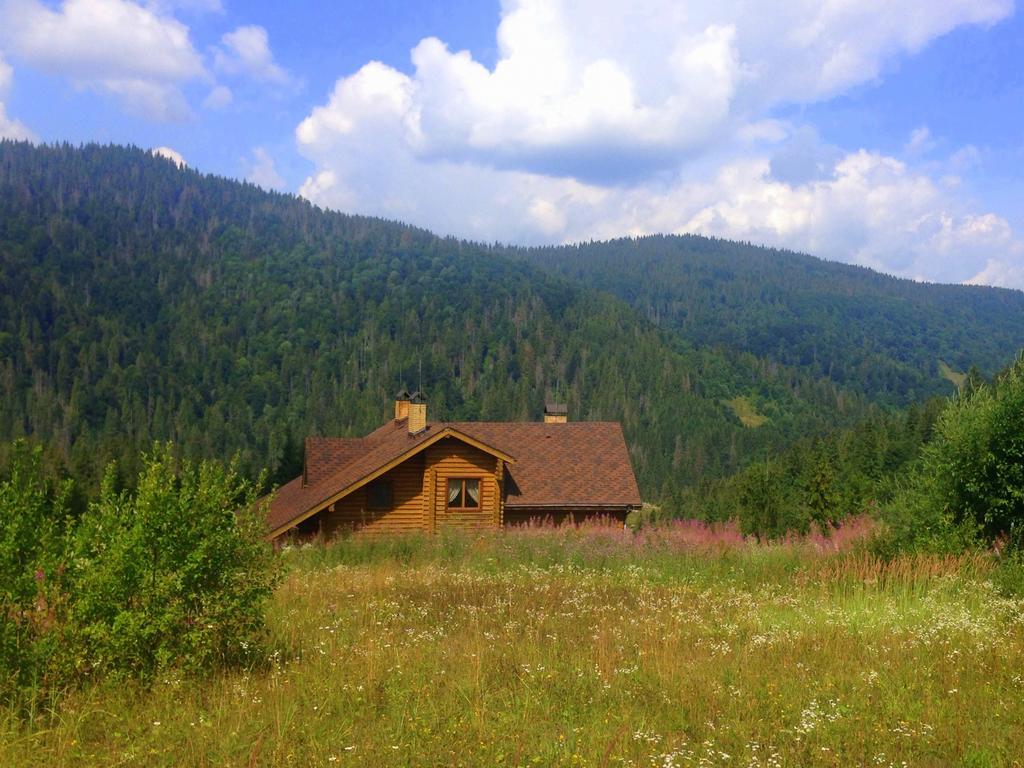 Villa Alpiyka Slavske Esterno foto
