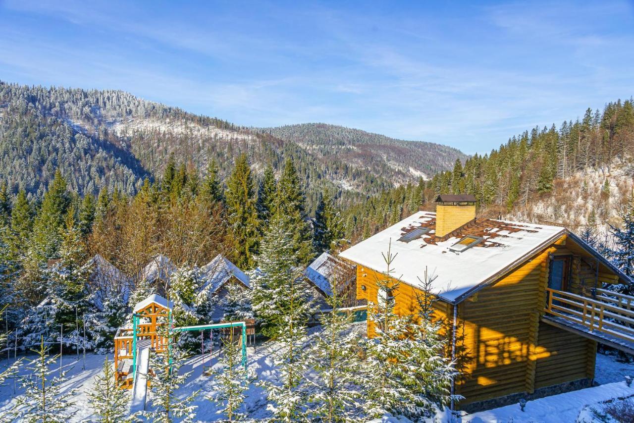 Villa Alpiyka Slavske Esterno foto