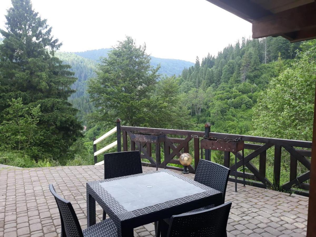Villa Alpiyka Slavske Esterno foto